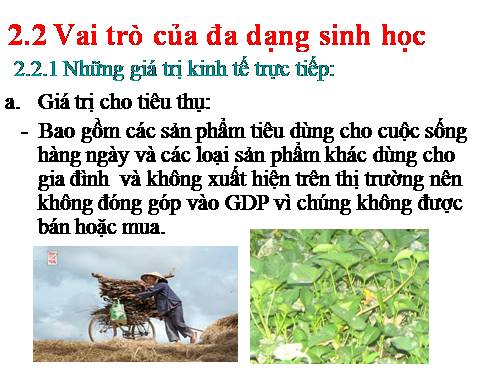 Vai trò của đa dạng sinh học