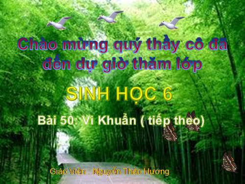 Bài 50. Vi khuẩn