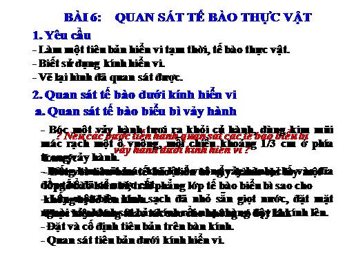 Bài 6. Quan sát tế bào thực vật