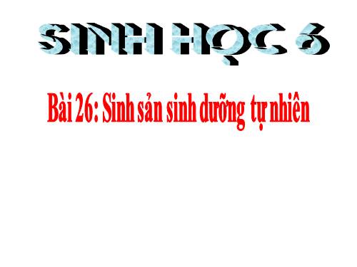 Bài 26. Sinh sản sinh dưỡng tự nhiên