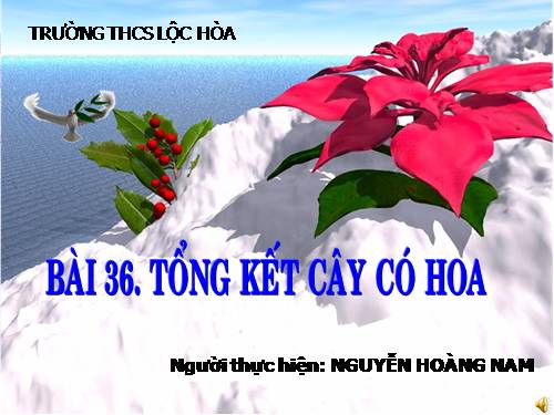 Bài 36. Tổng kết về cây có hoa