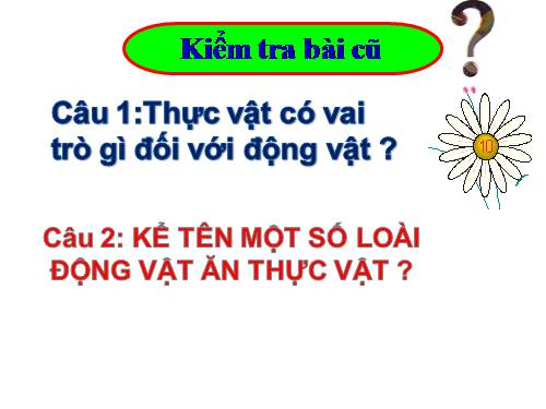 Bài 49. Bảo vệ sự đa dạng của thực vật