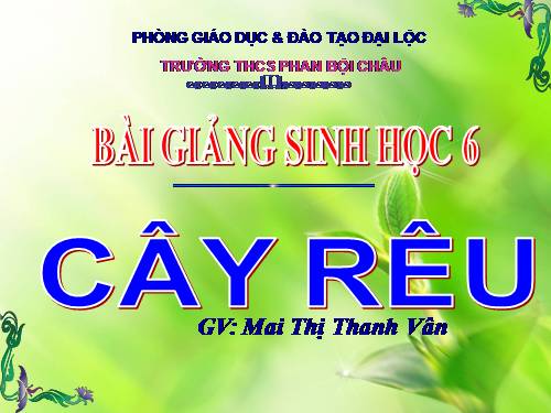 Bài 38. Rêu - Cây rêu