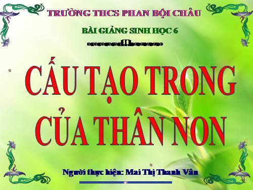 Bài 15. Cấu tạo trong của thân non