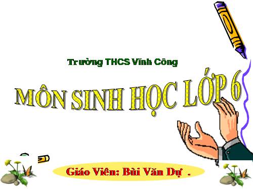 Bài 20. Cấu tạo trong của phiến lá