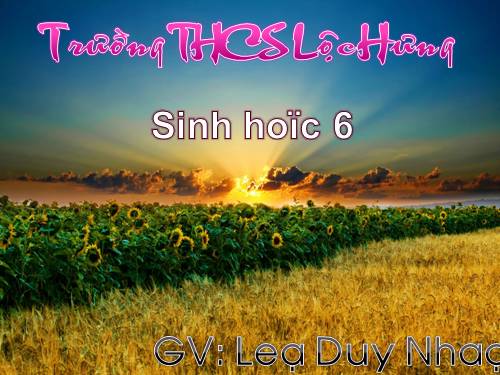 Bài 42. Lớp Hai lá mầm và lớp Một lá mầm