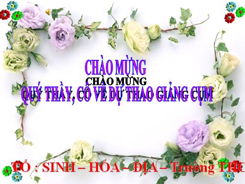 CHUYEN ĐỀ SINH P.PBTNB