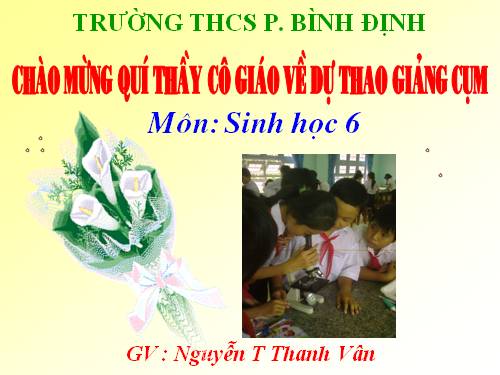 Bài 33. Hạt và các bộ phận của hạt