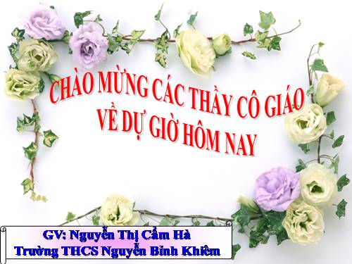 Bài 48. Vai trò của thực vật đối với động vật và đối với đời sống con người