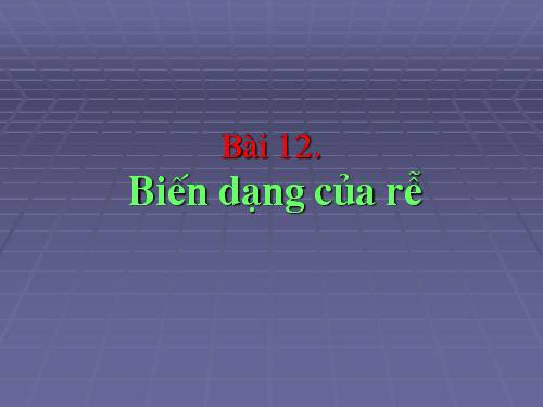 Bài 12. Biến dạng của rễ