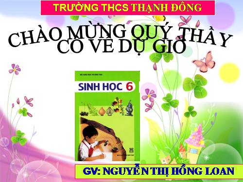 Bài 47. Thực vật bảo vệ đất và nguồn nước