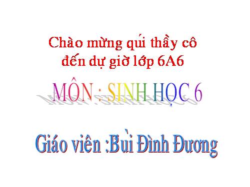Bài 45. Nguồn gốc cây trồng