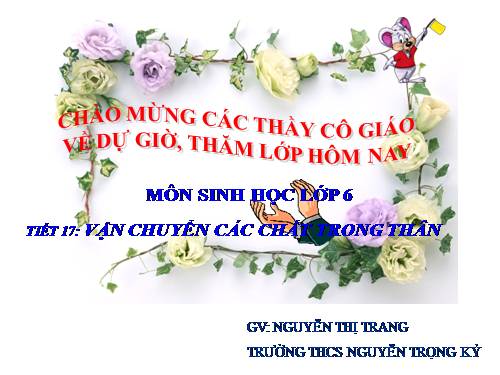 Bài 17. Vận chuyển các chất trong thân