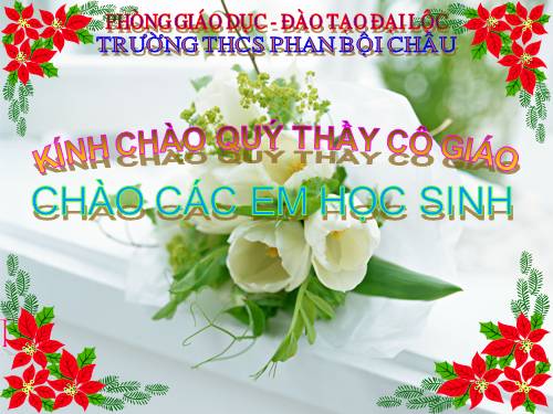 Bài 46. Thực vật góp phần điều hoà khí hậu