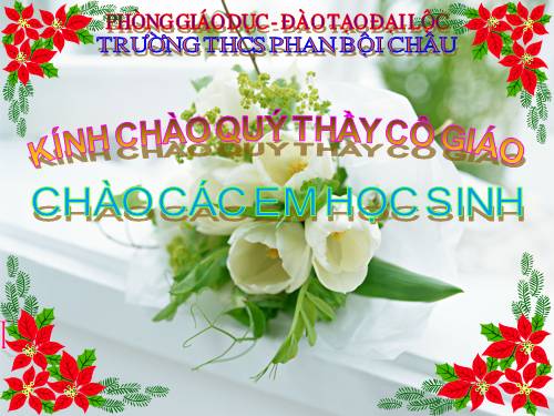 Bài 46. Thực vật góp phần điều hoà khí hậu