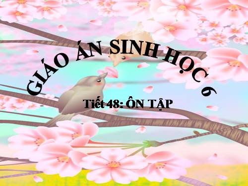 ÔN TẬP HKII SINH 6