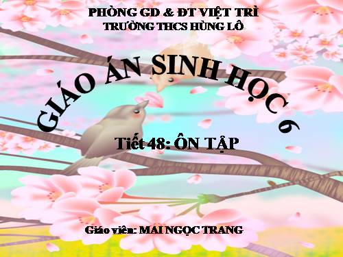 sinh 6 ôn tập HKI