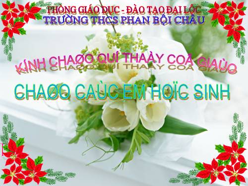 Bài 19. Đặc điểm bên ngoài của lá