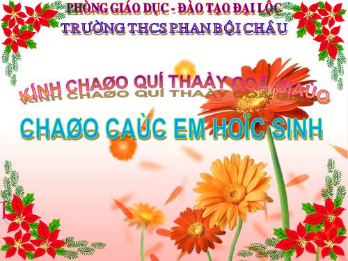 Bài 20. Cấu tạo trong của phiến lá