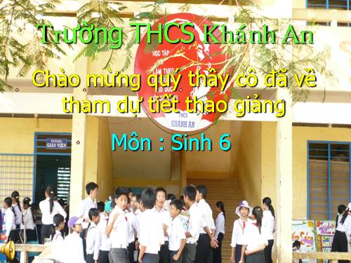 Sinh 6 Tiết 34 (Ôn tập HK1)
