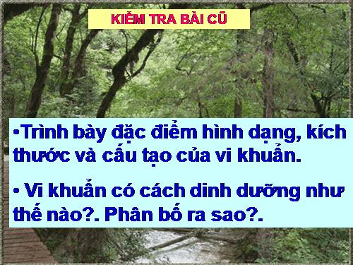 Bài 50. Vi khuẩn
