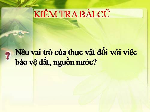 Bài 48. Vai trò của thực vật đối với động vật và đối với đời sống con người