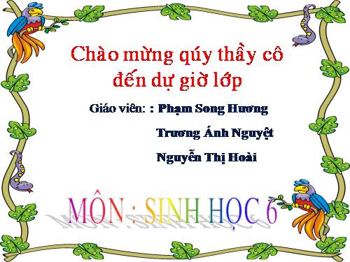 Bài 45. Nguồn gốc cây trồng