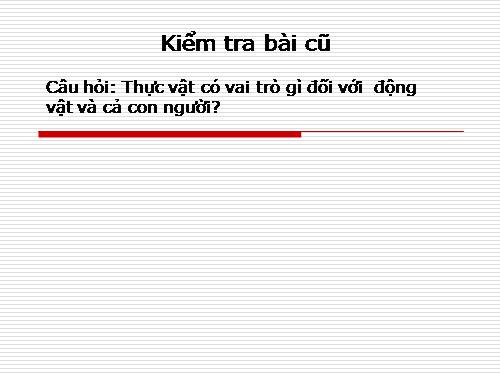 Bài 48. Vai trò của thực vật đối với động vật và đối với đời sống con người