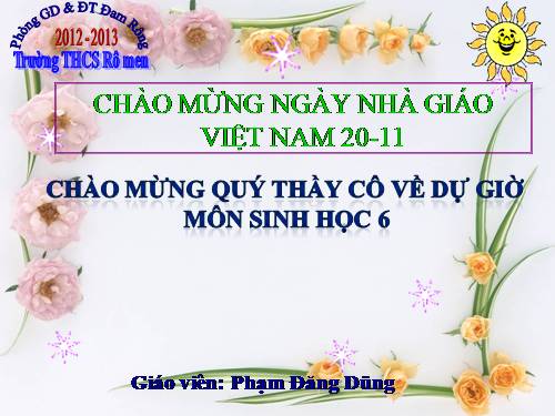 Bài 19. Đặc điểm bên ngoài của lá