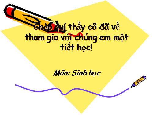 ôn tập