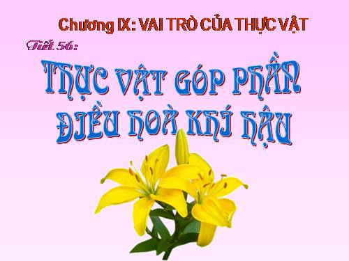 Bài 46. Thực vật góp phần điều hoà khí hậu