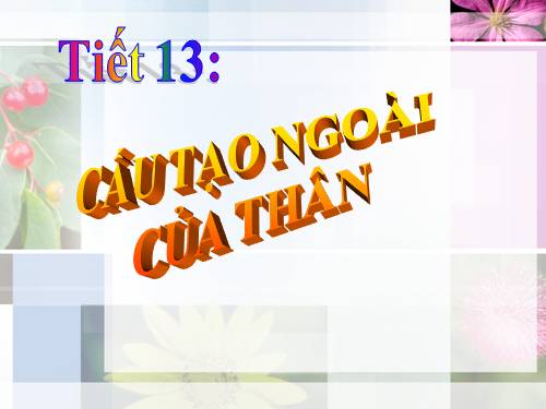 Bài 13. Cấu tạo ngoài của thân