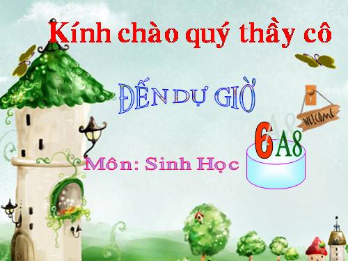 Bài 46. Thực vật góp phần điều hoà khí hậu