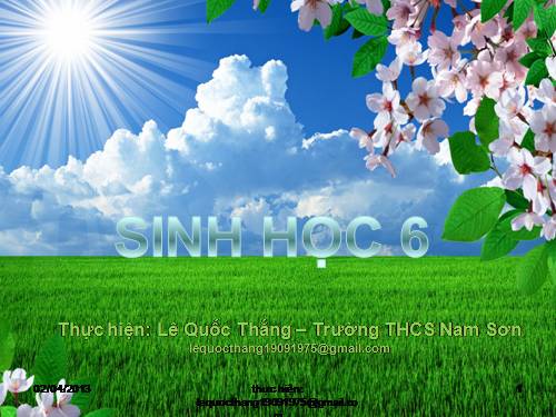 Bài 46. Thực vật góp phần điều hoà khí hậu
