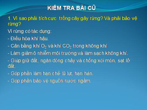 Bài 48. Vai trò của thực vật đối với động vật và đối với đời sống con người