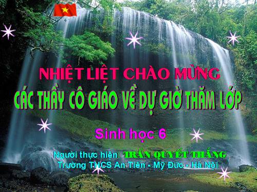 Bài ôn tập cuối năm