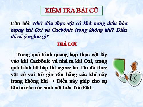 Bài 47. Thực vật bảo vệ đất và nguồn nước