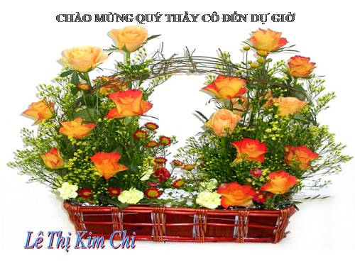 Bài 40. Hạt trần - Cây thông