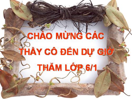 Bài 46. Thực vật góp phần điều hoà khí hậu