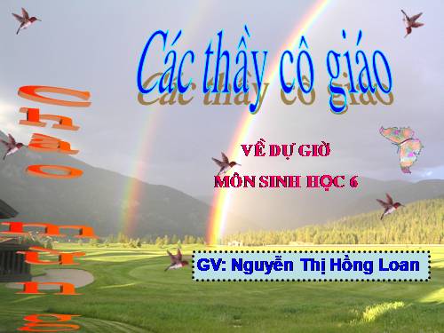 Bài 36. Tổng kết về cây có hoa