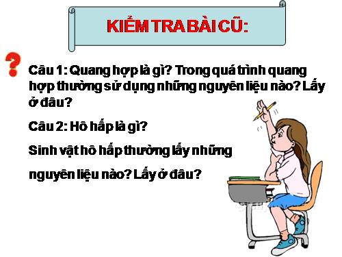 Bài 46. Thực vật góp phần điều hoà khí hậu
