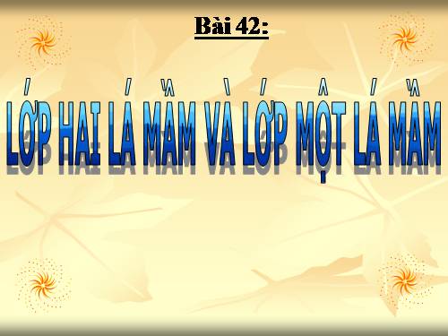 Bài 42. Lớp Hai lá mầm và lớp Một lá mầm