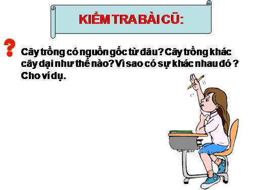 Bài 46. Thực vật góp phần điều hoà khí hậu