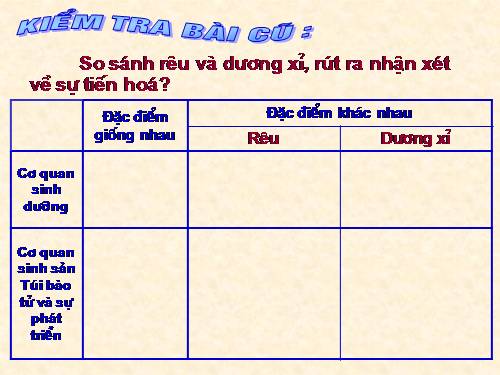 Bài 40. Hạt trần - Cây thông