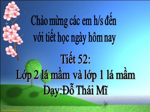 Bài 42. Lớp Hai lá mầm và lớp Một lá mầm