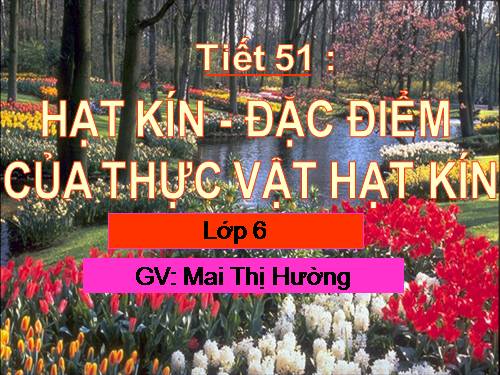 Bài 41. Hạt kín - Đặc điểm của thực vật Hạt kín