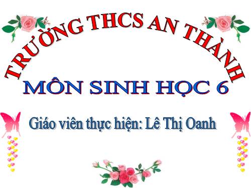 Bài 41. Hạt kín - Đặc điểm của thực vật Hạt kín