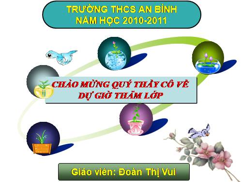 Bài 22. Ảnh hưởng của các điều kiện bên ngoài đến quang hợp, ý nghĩa của quang hợp