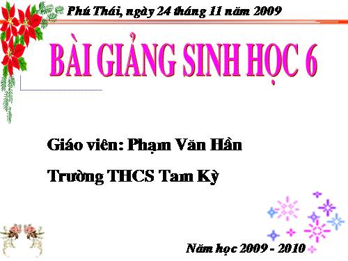 Bài 22. Ảnh hưởng của các điều kiện bên ngoài đến quang hợp, ý nghĩa của quang hợp