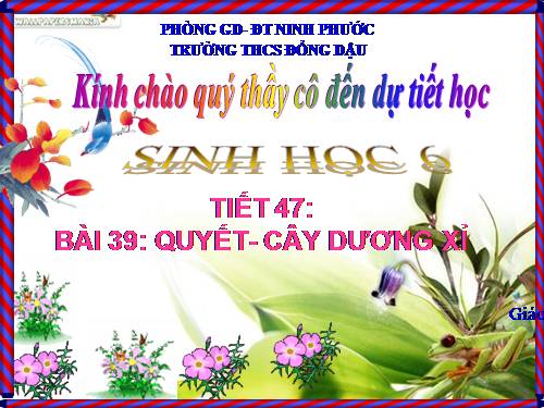 Bài 39. Quyết - Cây dương xỉ